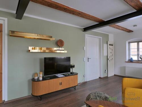 Blick zu TV und Eingang - (EF1238_M) Dresden: Briesnitz, neu möbliertes Apartment im Innenhof eines historischem Hauses, Reinigungsservice