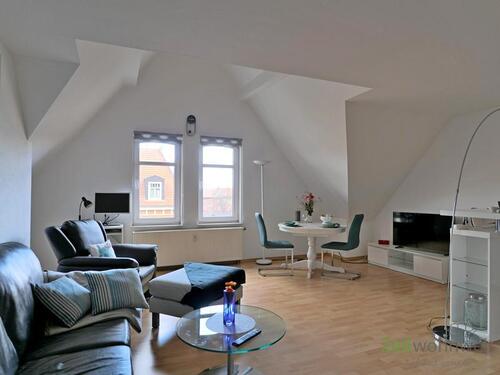 blick in das helle Wohnzimmer - (EF0997_M) Erfurt: Andreasvorstadt, modernes möbliertes 2-Zimmer-Apartment mit Aufzug in Citylage an der 'Gera'