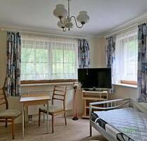 (EF0617_M) Dresden: Kauscha, kleines möblieres Apartment mit Terrasse und sep. Eingang, für Wochenendheimfahrer