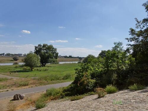 Elberadweg - 