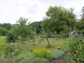 Garten mit Sitzplatz - 