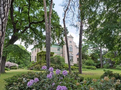 alter Baumbestand in der Parkanlage - 