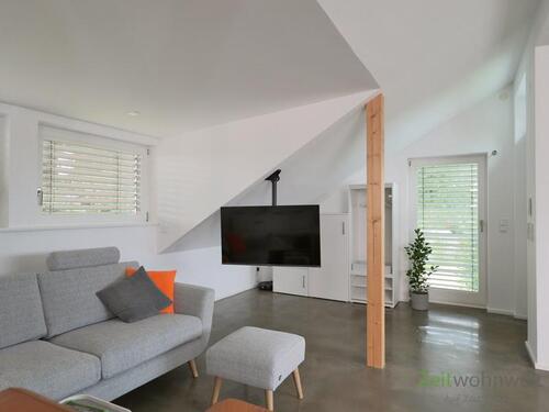 TV von der Decke - 