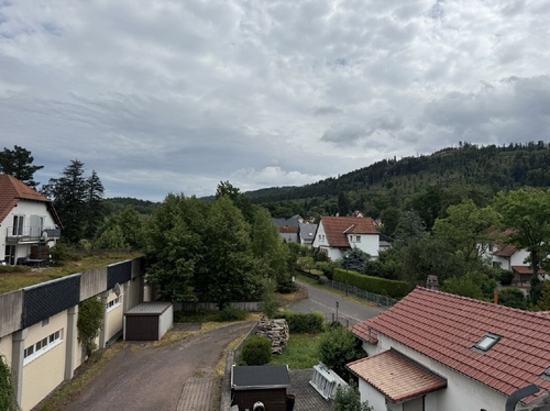 Blick aus dem Wohnzimmer - 