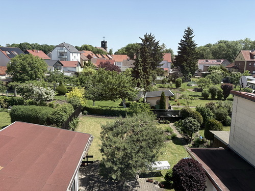 Blick nach Draussen - 