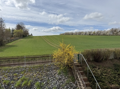 Ausblick - 