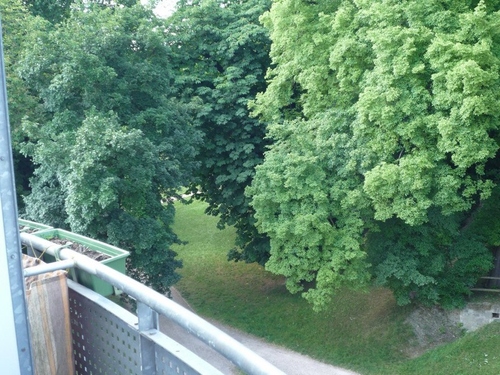 Blick vom Balkon in den Schlosspark - 