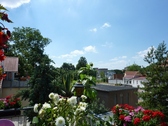 Blick nach Westen - 