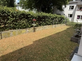 Rasenfläche - 