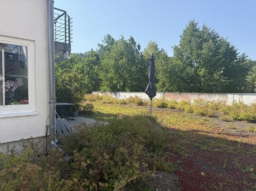 Terrasse auf dem Flachdach - Etagenwohnung mit 68,39 m&sup2; in Tabarz zum Kaufen