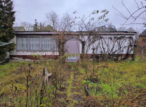 Schuppen - 