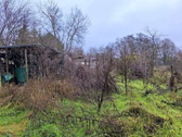 Garten Bild 1 - 