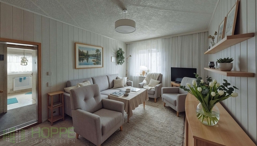 Wohnzimmer Bild 1 - (Einrichtungsvorschlag KI generiert) - 