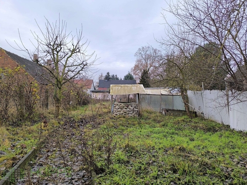 Garten Bild 2 - 