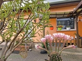 Kellerzugang - 5 Zimmer Einfamilienhaus zum Kaufen in Lutherstadt Wittenberg