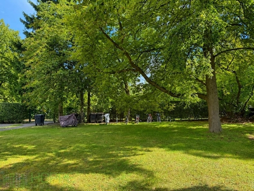 Garten Bild 2 - 