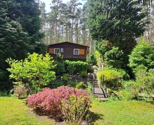 Sommer 2026 im eigenen Freizeitbungalow in ruhiger, idyllischer Waldlage von Coswig Möllensdorf - Coswig (Anhalt)