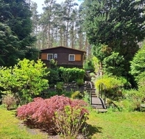 Sommer 2026 im eigenen Freizeitbungalow in ruhiger, idyllischer Waldlage von Coswig Möllensdorf - Coswig (Anhalt)