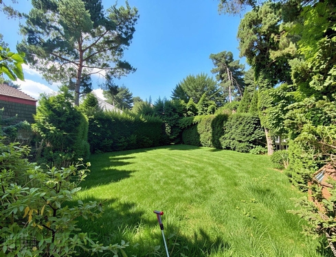 Gartengestaltung - (KI generiert) - 