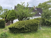 Garten Bild 3 - 