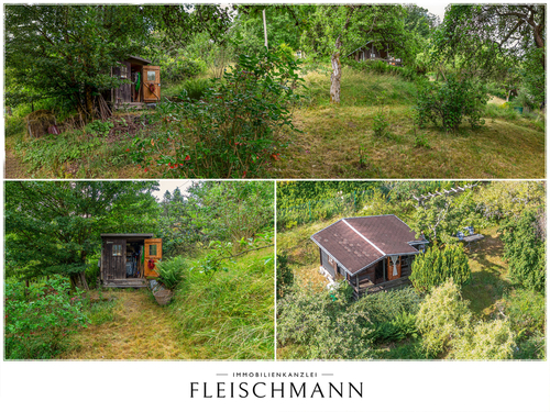 Gartenimpressionen - 