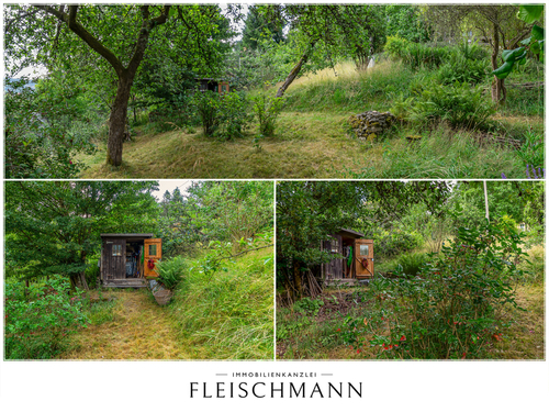 Gartenimpressionen - 