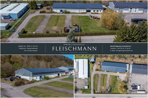 Ansicht von oben - 10 Zimmer Halle zum Kaufen in Schleusingen