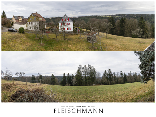 Aussicht - Hotel, Pension, Gasthof mit 130,00 m² in Altensteig zum Kaufen