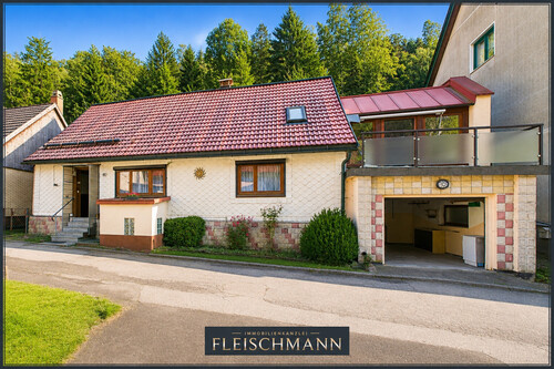 Aussenansicht_neu - 4 Zimmer Einfamilienhaus zum Kaufen in Suhl