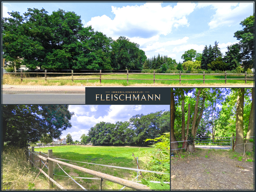 CG2 - Grundstück zum Kaufen in Mockrehna