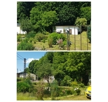 Bau dir dein Zuhause – attraktives Grundstück in Suhl - Suhl / Goldlauter