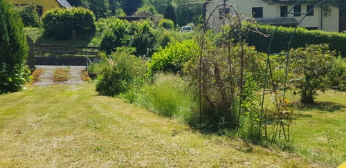 Blick auf das Grundstück - Grundstück in Suhl / Goldlauter