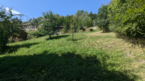 Blick auf das Grundstück - 