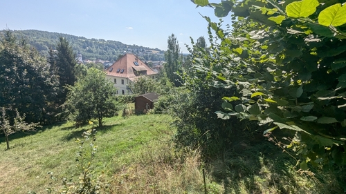 Aussicht über das Grundstück - Grundstück in Steinbach-Hallenberg