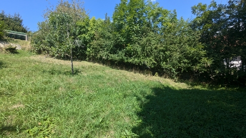 Blick auf das Grundstück - 