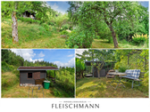 Impressionen - Ihr eigenes Bio-Paradies in Suhl: Pestizidfreier Naturgarten mit Holzhaus, Strom & Ganzjahreswasser!