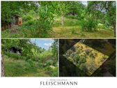 Gartenimpressionen - Freizeitgrundstück in Suhl