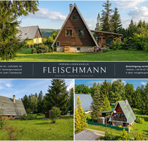 Ihr neues Ferienhaus mit Kamin und Waldblick steht im Thüringer Wald! - Suhl
