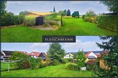 Blick in den Garten - 