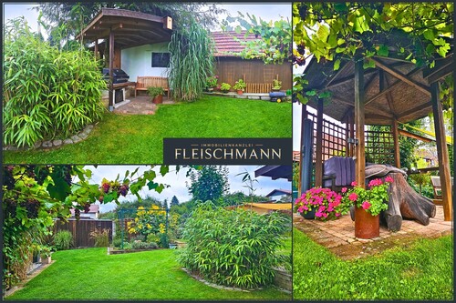 Blick in den Garten - 