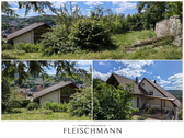 Ausblicke ins Grüne - Mehrfamilienhaus, Wohnhaus mit 310,00 m² in Steinbach-Hallenberg zum Kaufen