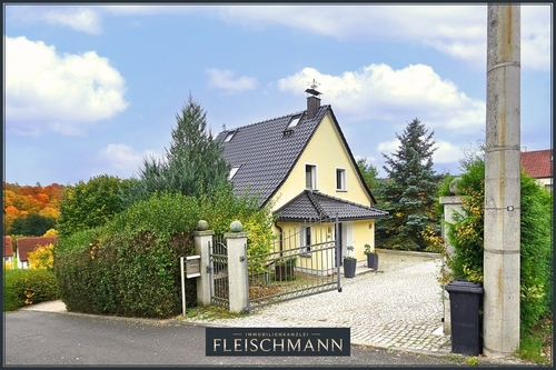 01-Aussenansicht - 10 Zimmer Einfamilienhaus zum Kaufen in Dillstädt