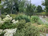 Garten nach Westen - 