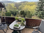 Blick ins Grüne - 