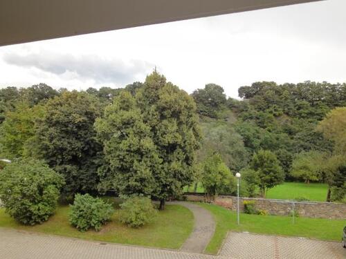 Grundstück hinter dem Haus - 