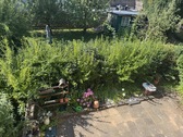 Grundstück - Einfamilienhaus mit 116,00 m&sup2; in Gera zum Kaufen