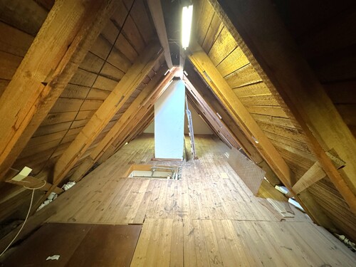Dachspitz - 