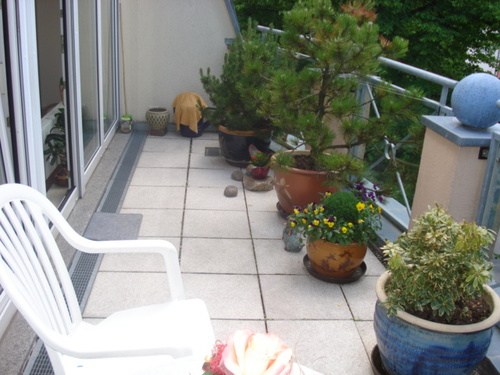 Terrasse - 