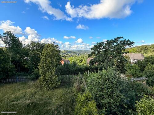 Ausblick - 