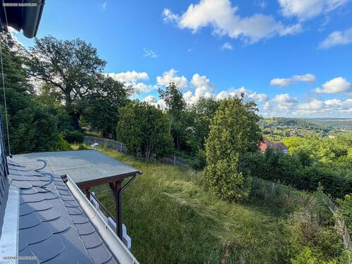 Ausblick - 